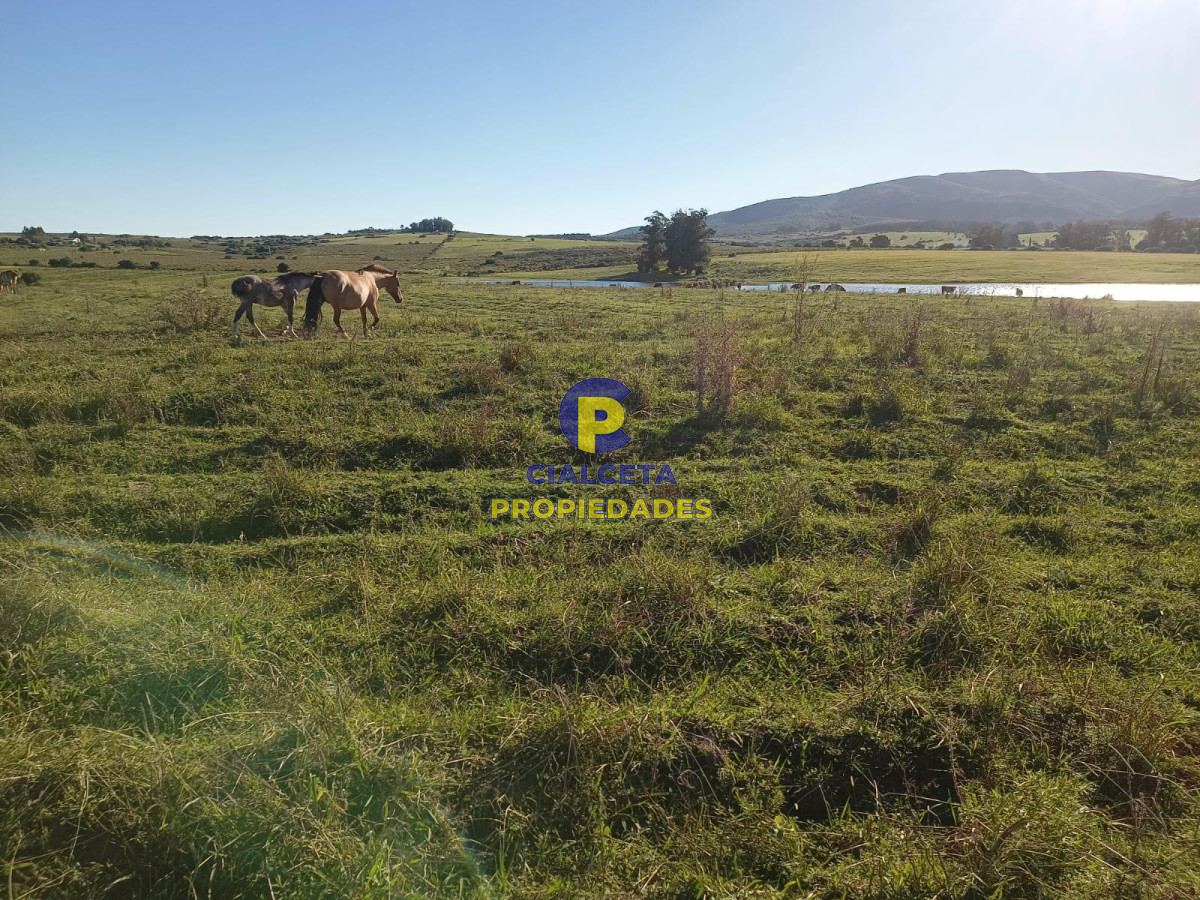 Campo Ref.429 - 32 hectáreas con represa y galpones