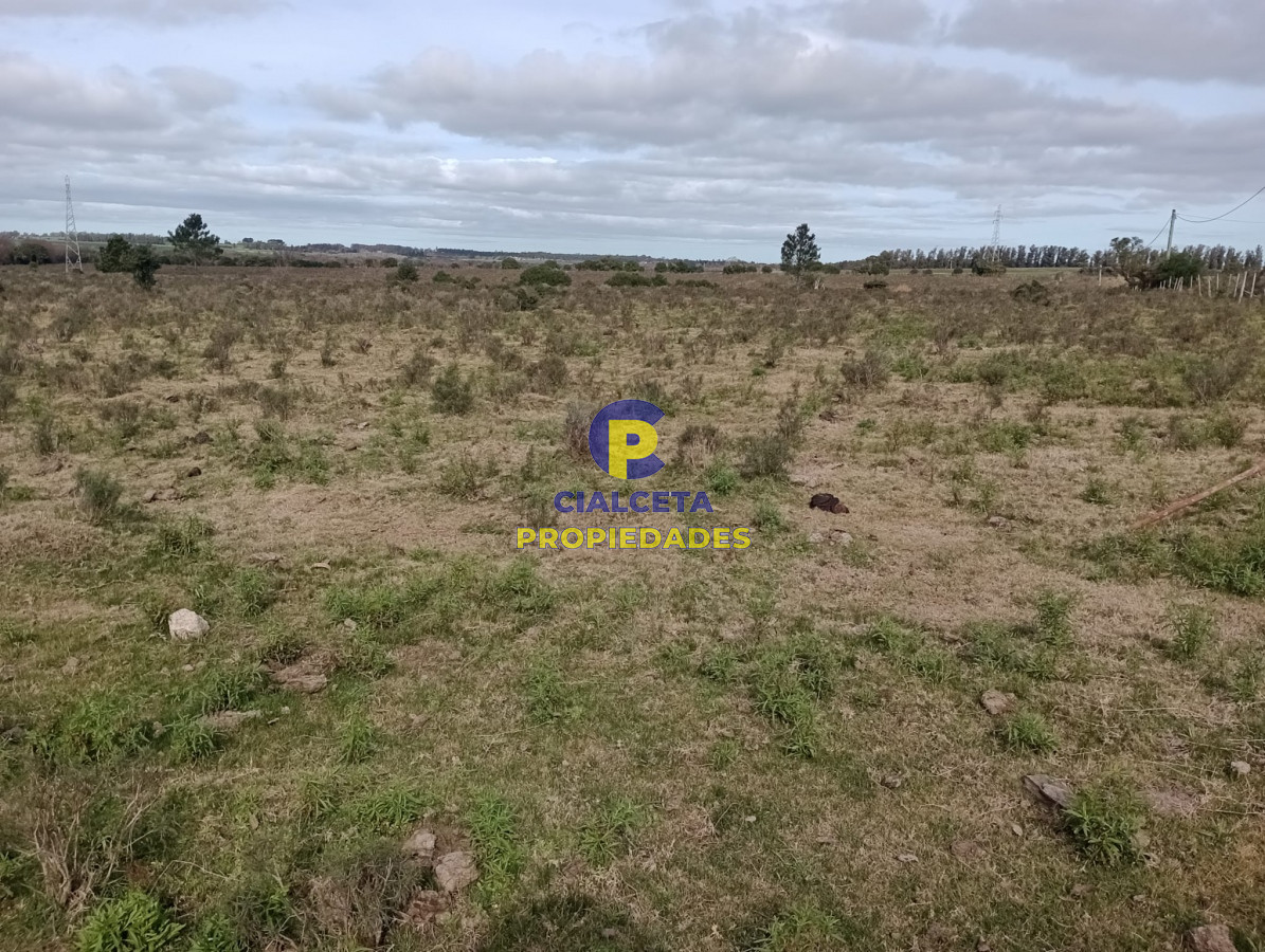 Campo Ref.271 - 21 hectáreas con 8.366 metros en Canelones