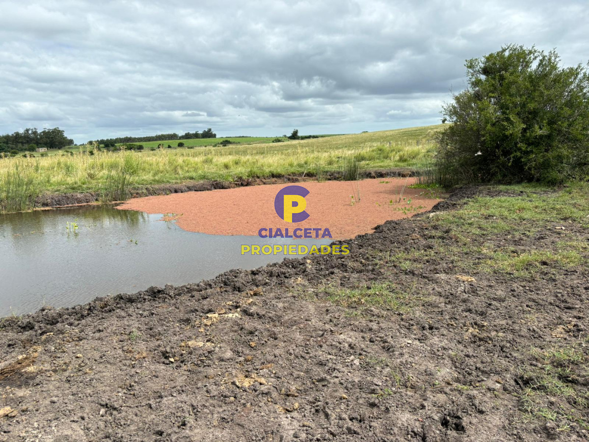 Campo Ref.405 - 59 hectáreas en Canelones
