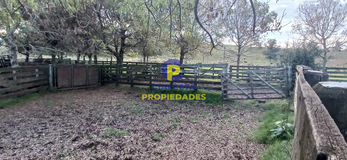 49 hectáreas en Lavalleja - GoPunta - Portal Inmobiliario de Punta del Este - Maldonado