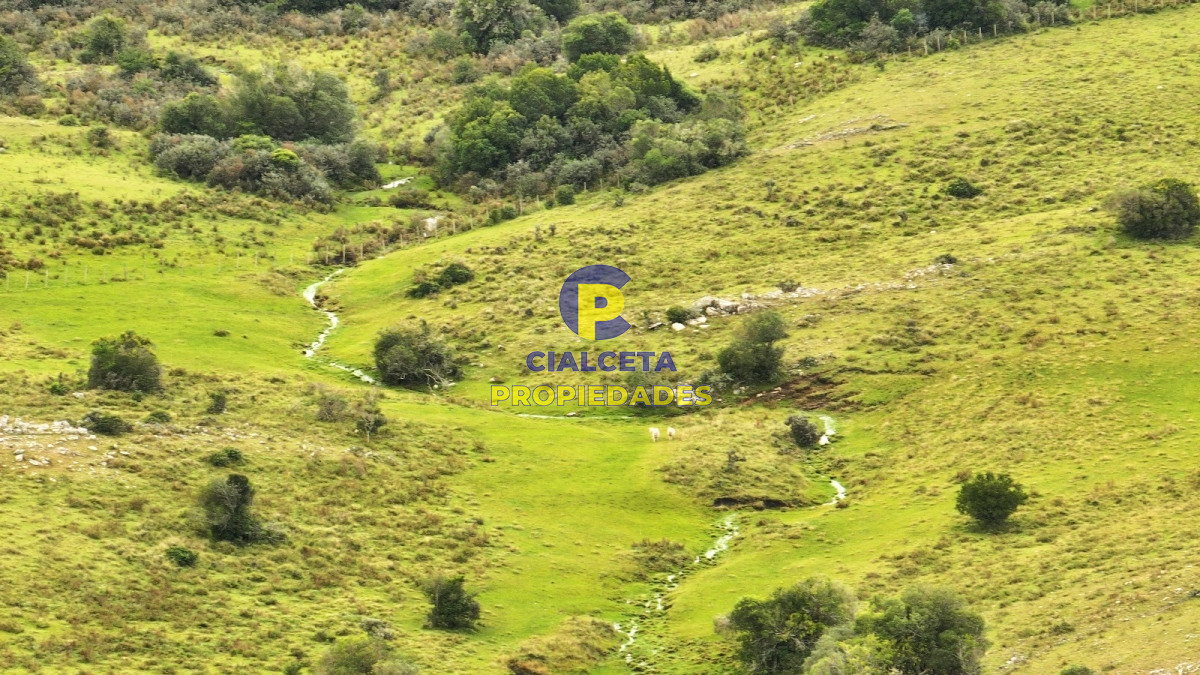 Campo Ref.426 - 116 hectáreas en Lavalleja