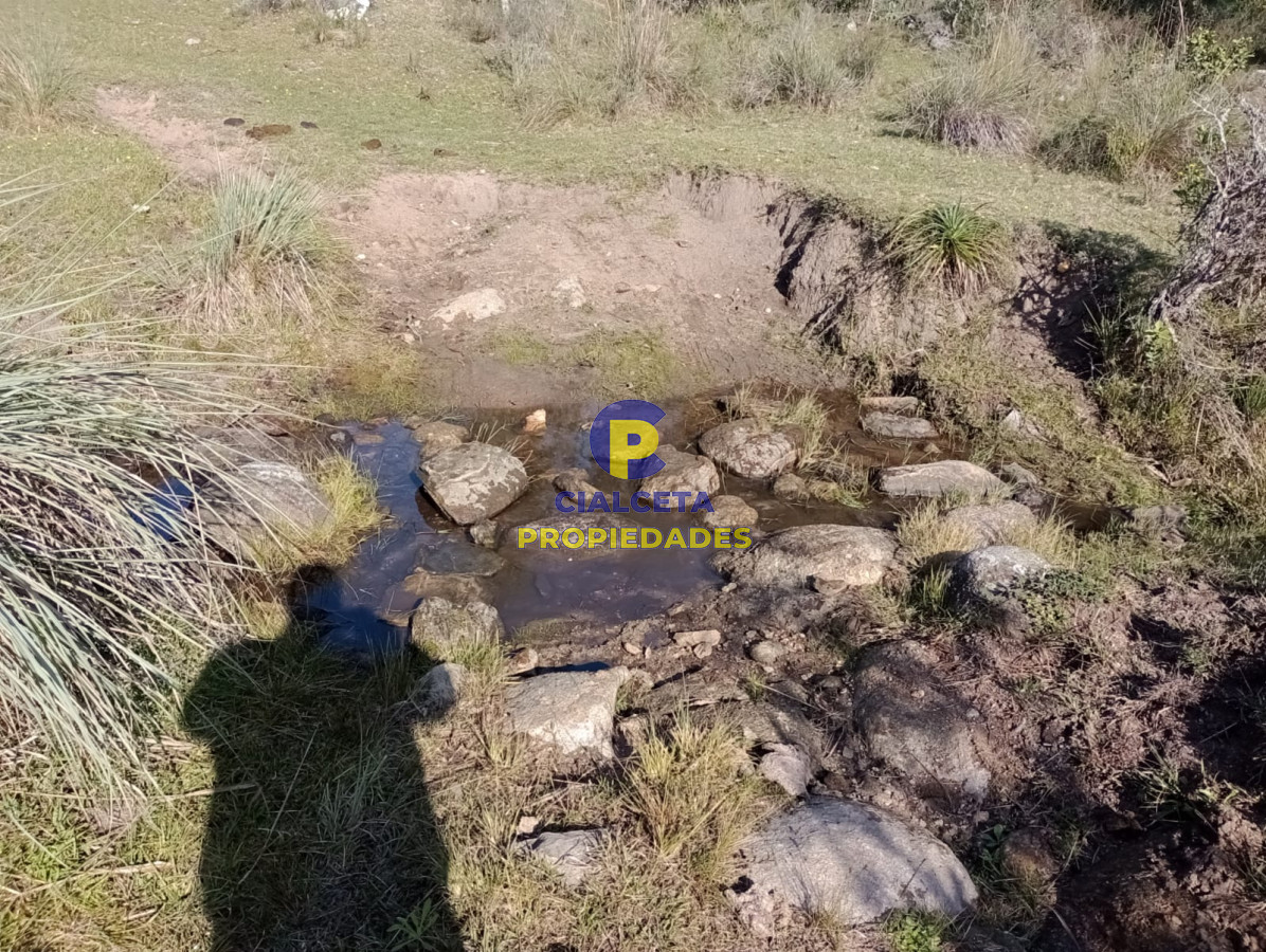 Campo Ref.228 - 39 hectáreas en Maldonado