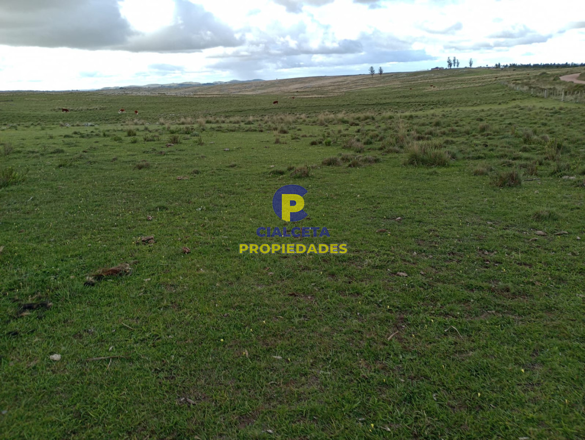 Campo Ref.175 - 140 hectáreas en Lavalleja