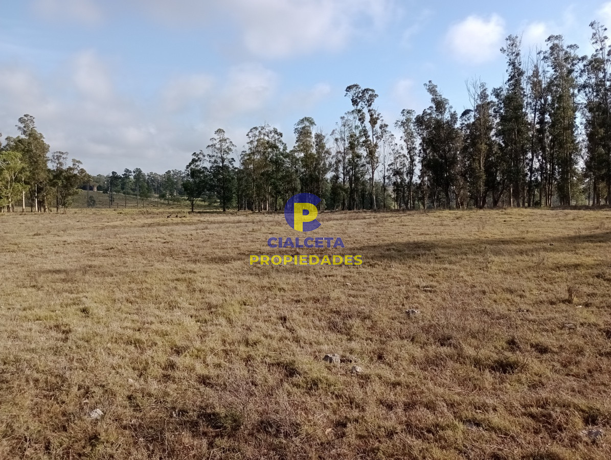 Campo Ref.103 - 94 hectáreas en Maldonado