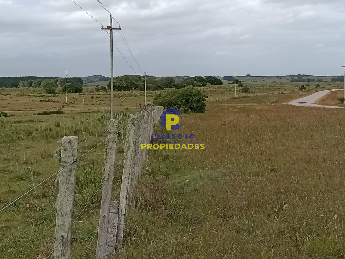 Campo Ref.358 - 198 hectáreas en Garzón