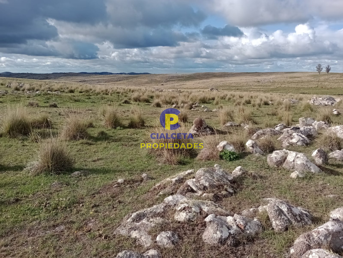 Campo Ref.175 - 140 hectáreas en Lavalleja