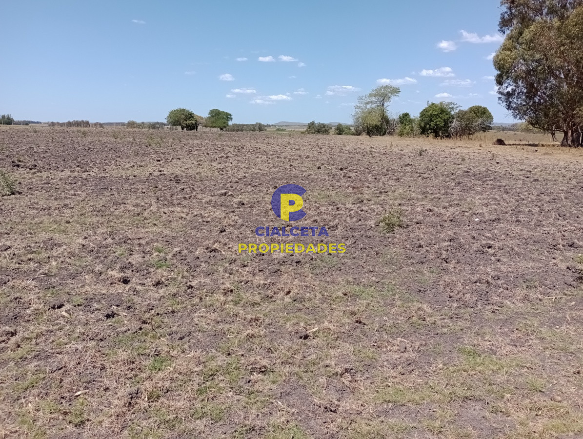 Campo Ref.134 - 21 hectáreas en Lavalleja
