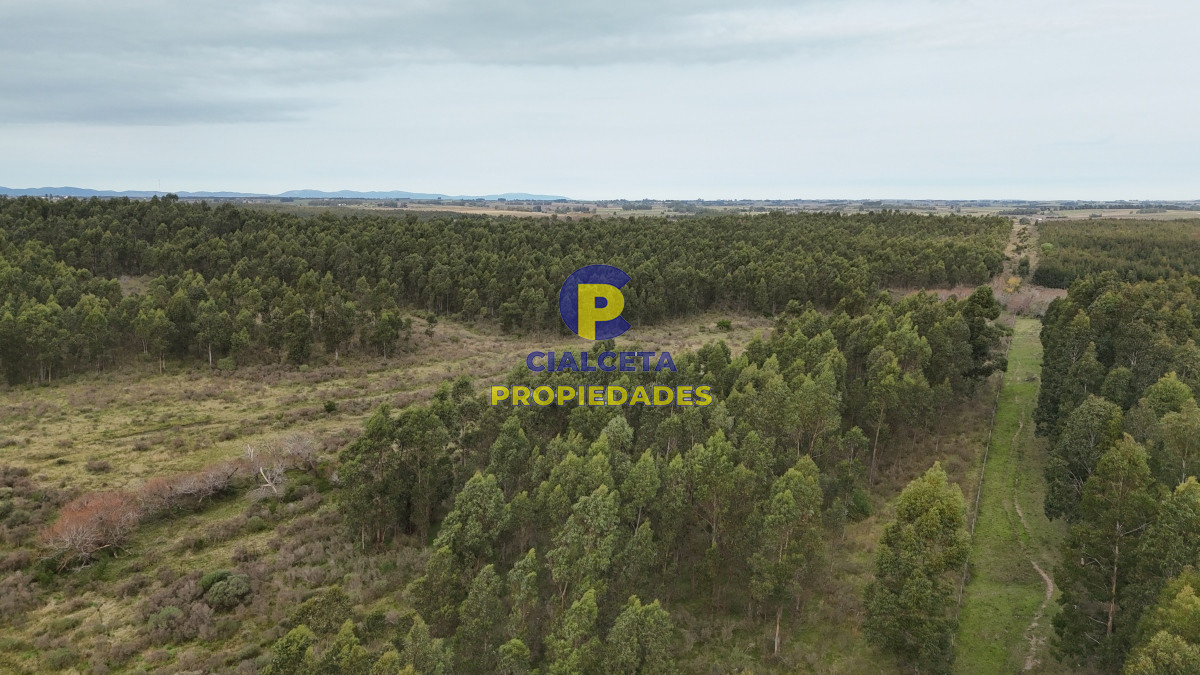 Campo Ref.449 - 39 hectáreas y media en Canelones
