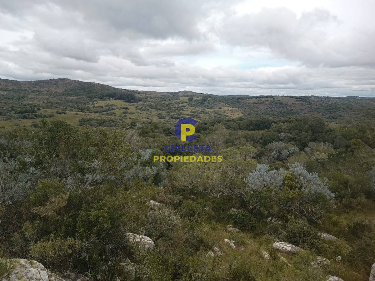 Campo Ref.440 - 38 hectáreas en Aiguá