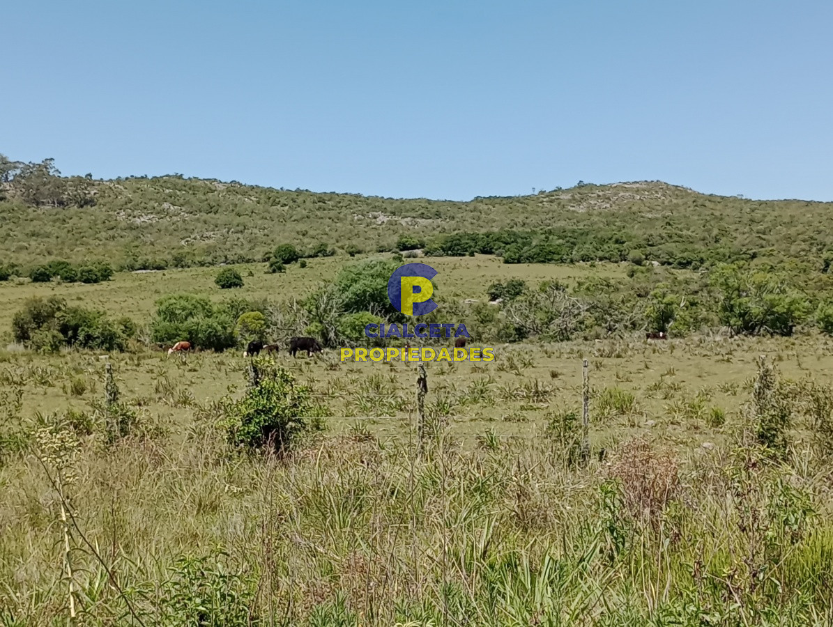 Campo Ref.77 - 419 hectáreas en Rocha