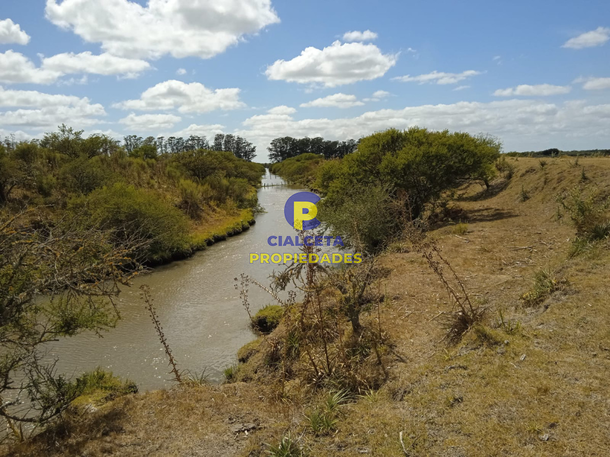 Campo Ref.75 - 643 hectáreas en 33