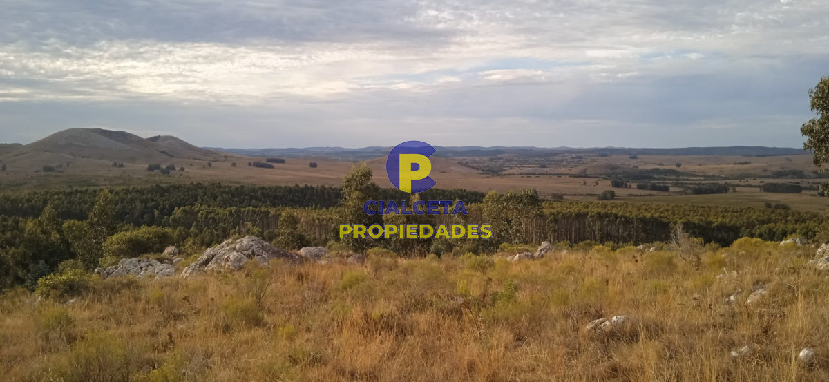 Campo Ref.50 - 5 hectáreas, entrega 8.000 U$S y cuotas de 593 U$S