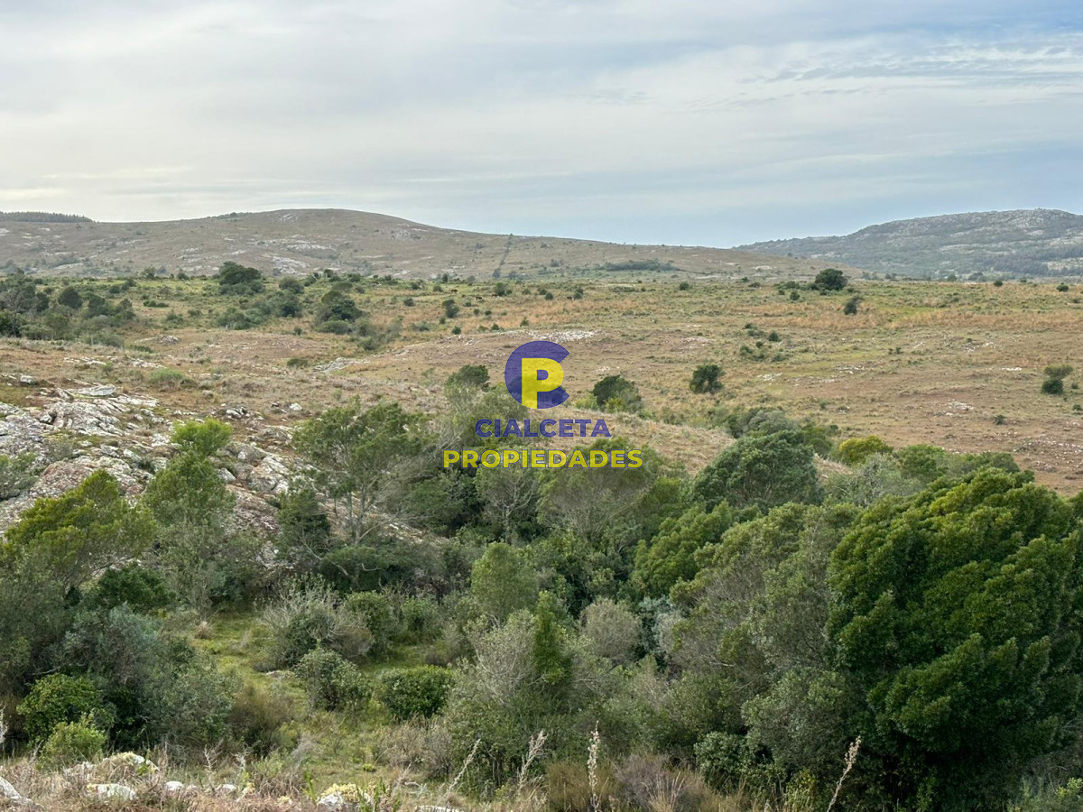 Campo Ref.441 - 200 hectáreas con muy buena vista
