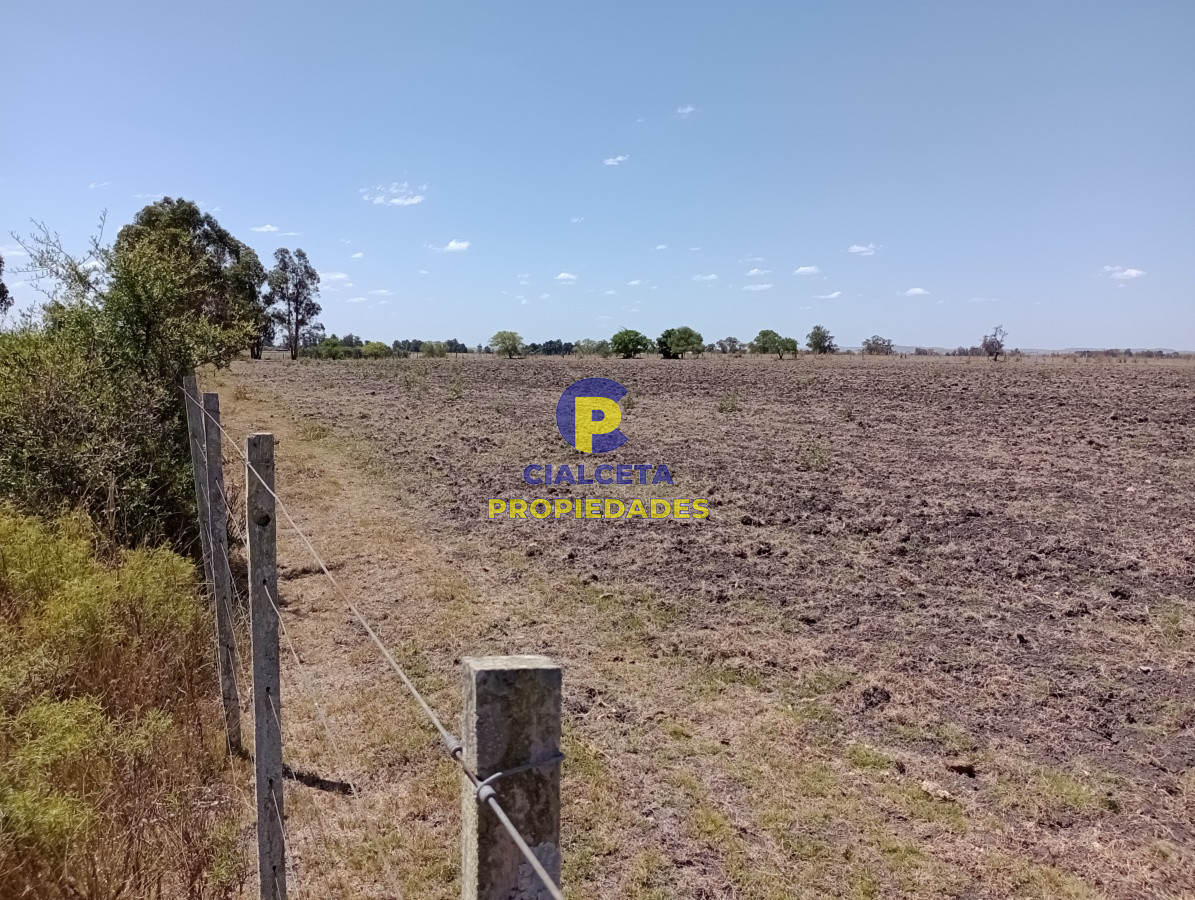 Campo Ref.134 - 21 hectáreas en Lavalleja