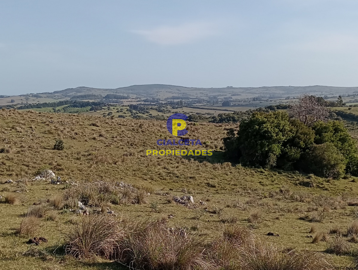 Campo Ref.112 - 5 hectáreas en Maldonado