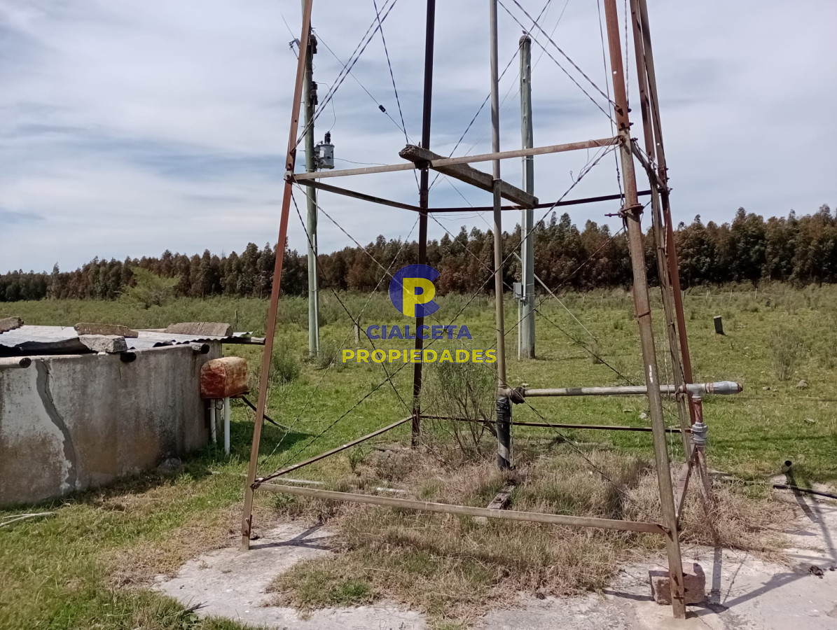 Campo Ref.313 - 73 hectáreas en Canelones