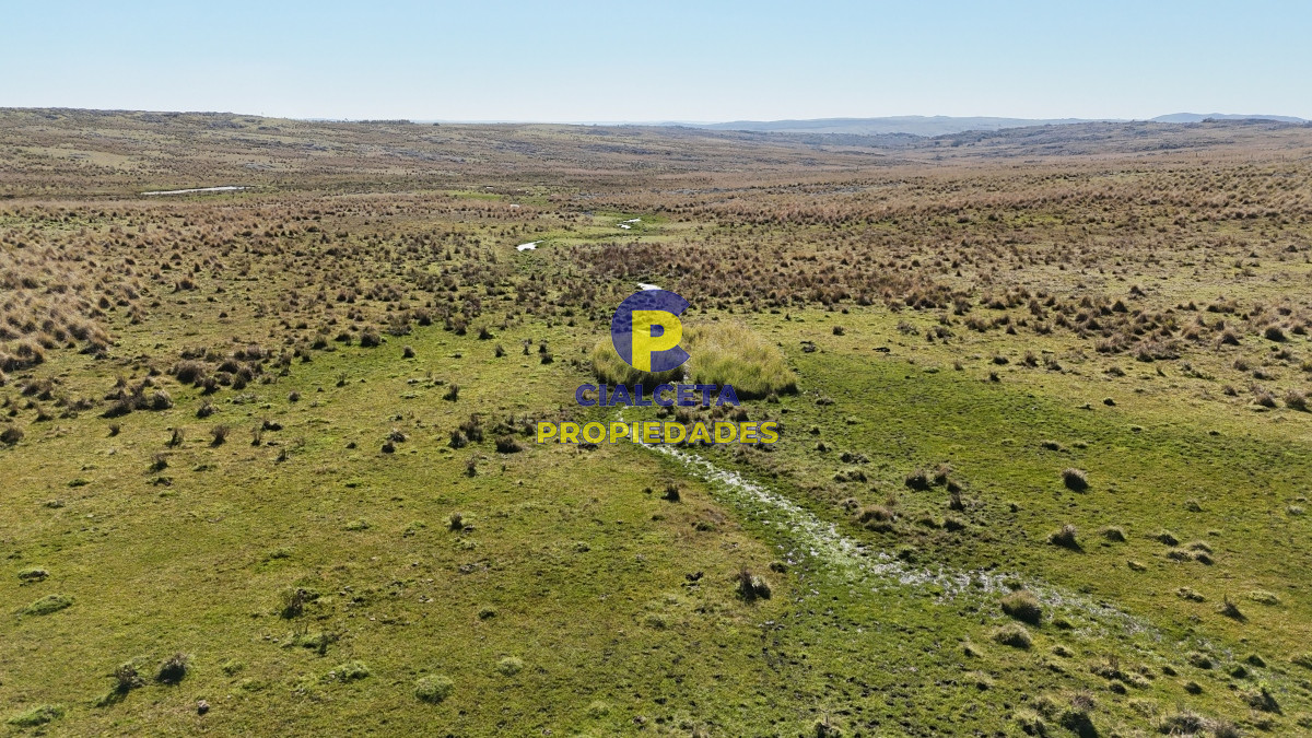 Campo Ref.494 - 140 hectáreas a 3.000 dólares la hectárea
