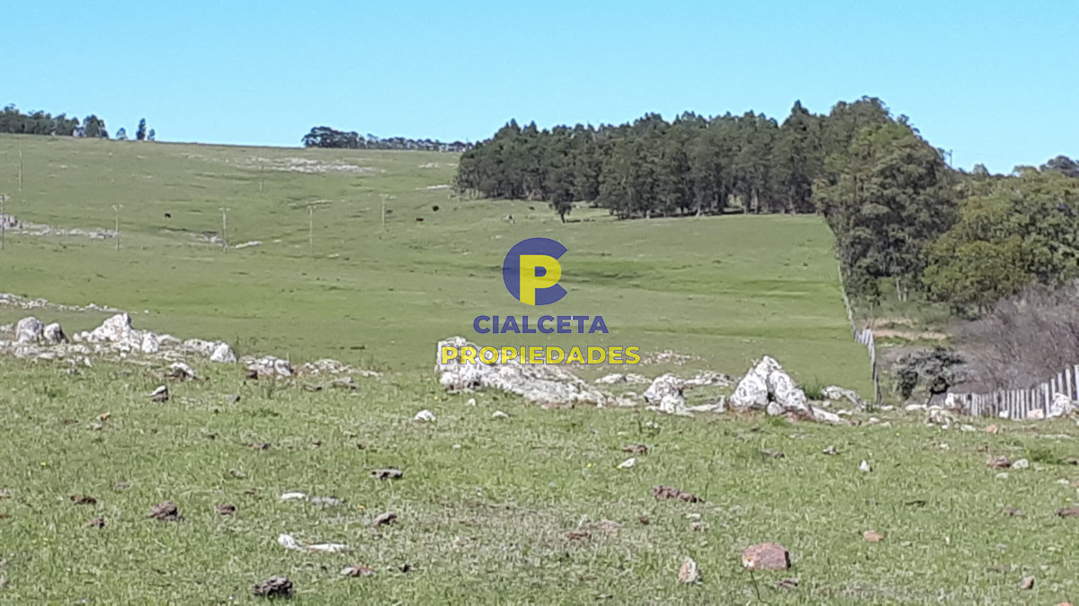 Campo Ref.322 - 100 hectáreas en Lavalleja