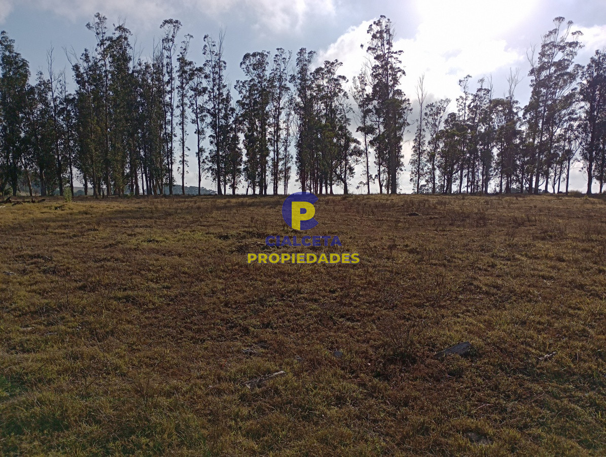Campo Ref.103 - 94 hectáreas en Maldonado