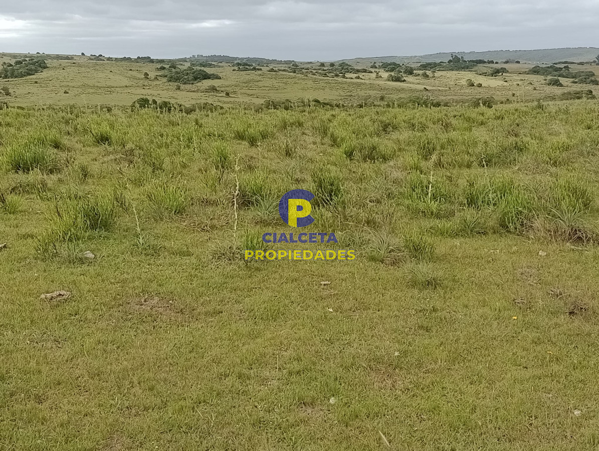 Campo Ref.358 - 198 hectáreas en Garzón