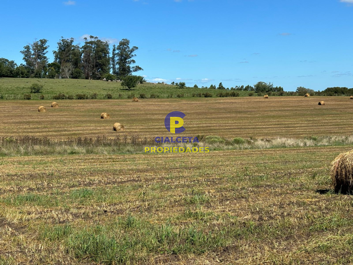 Campo Ref.567 - Linda fracción de 16 hectáreas y media con casa y galpón, buen acceso