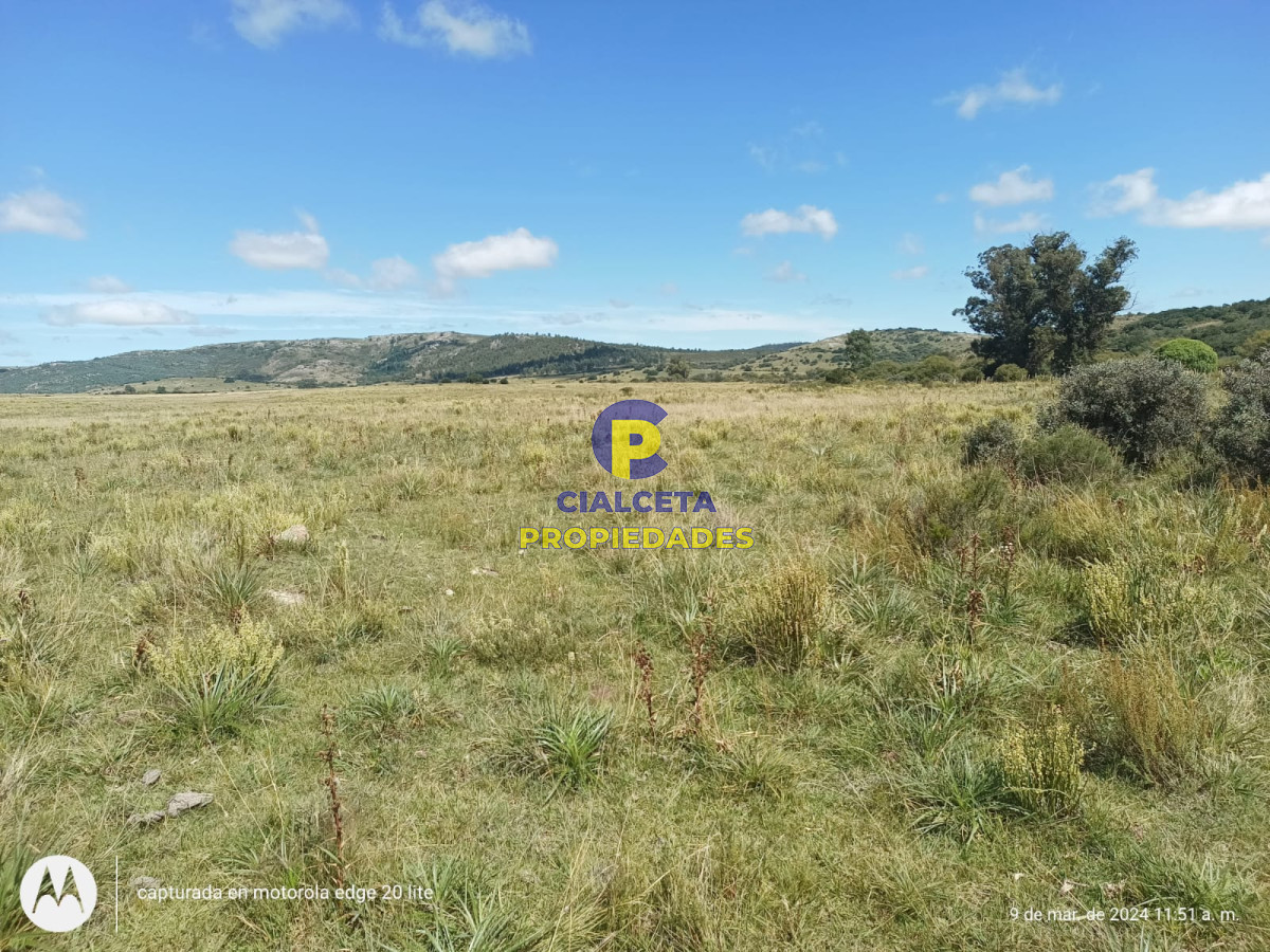 Campo Ref.408 - 16 hectáreas en Minas a la venta