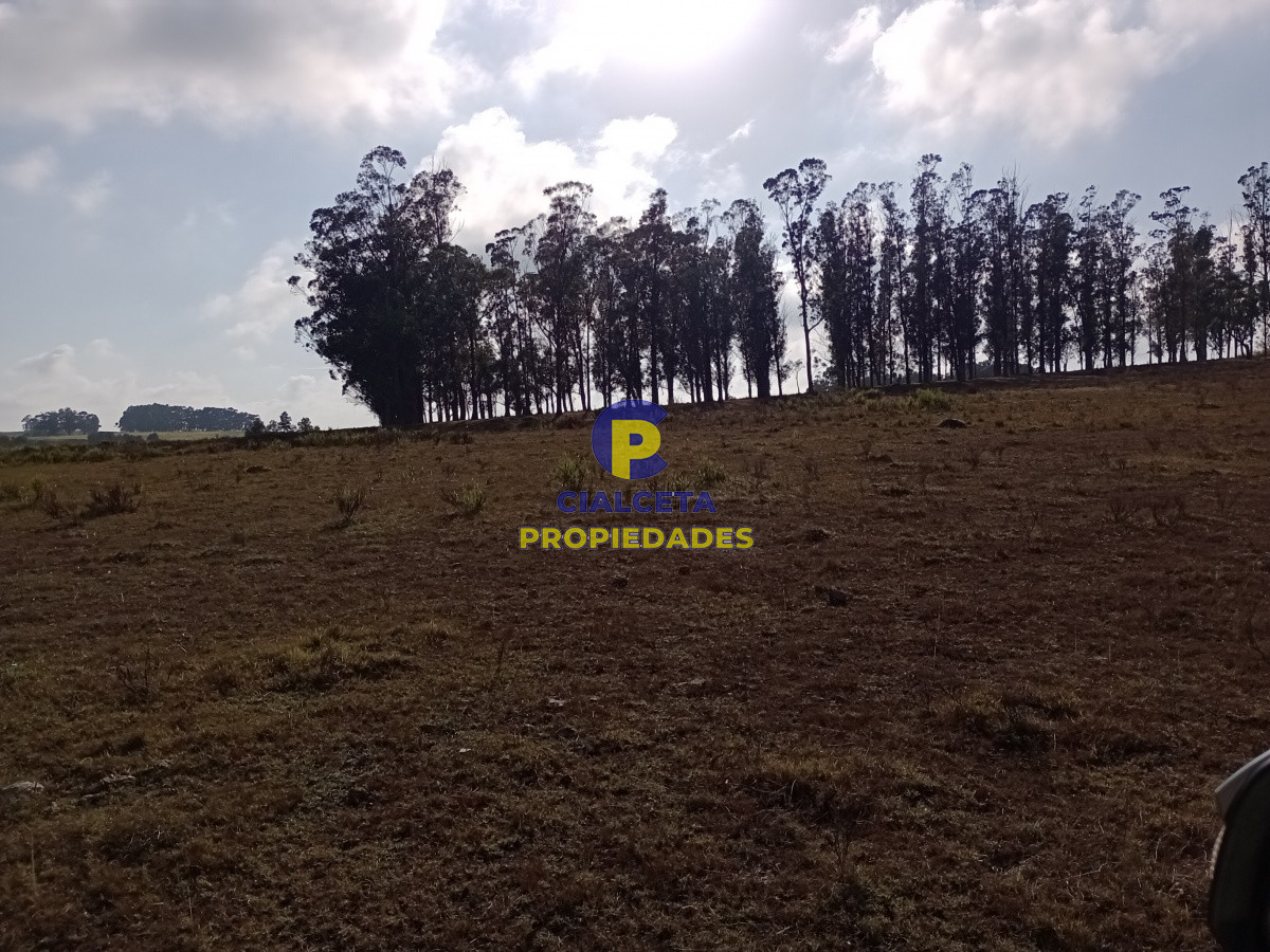 Campo Ref.103 - 94 hectáreas en Maldonado