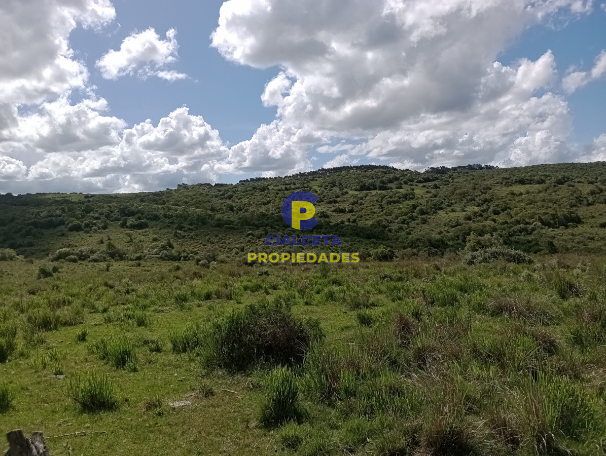 Campo Ref.102 - 98 hectáreas en Maldonado