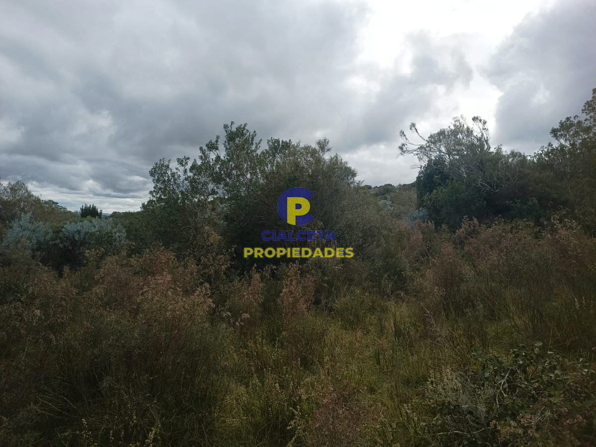 Campo Ref.440 - 38 hectáreas en Aiguá