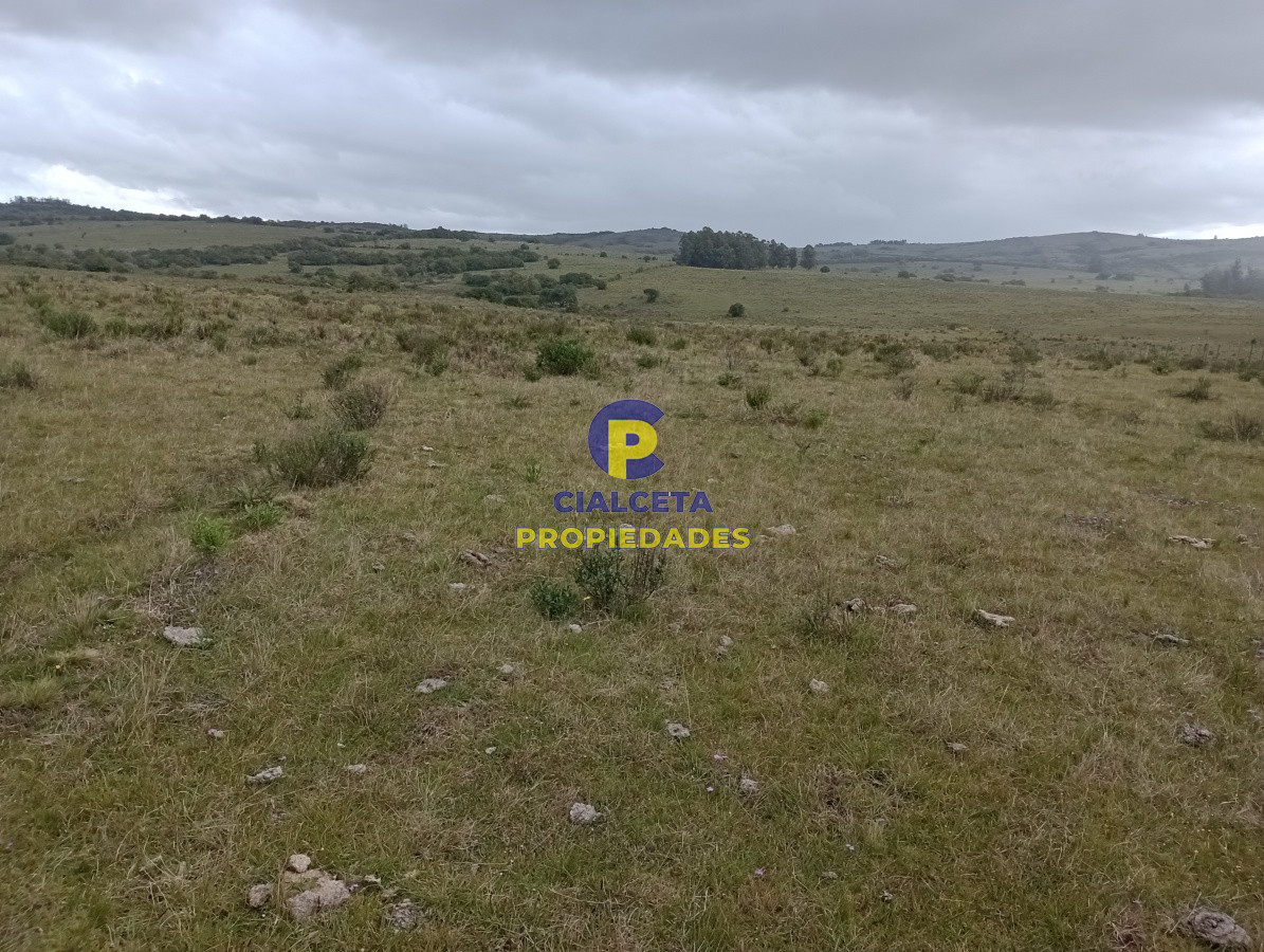 Campo Ref.113 - 5 hectáreas en Maldonado, Pueblo Edén