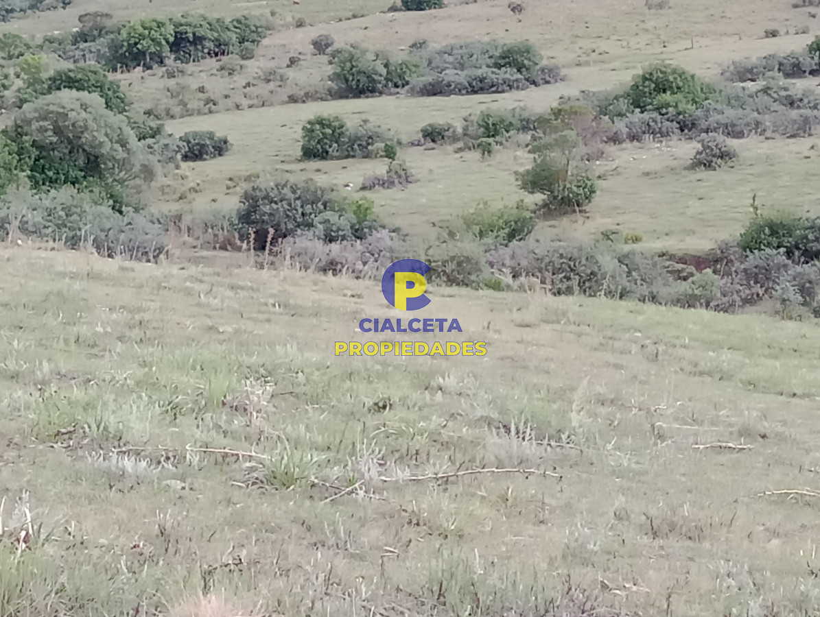 Campo Ref.183 - Chacras de 5 hectáreas