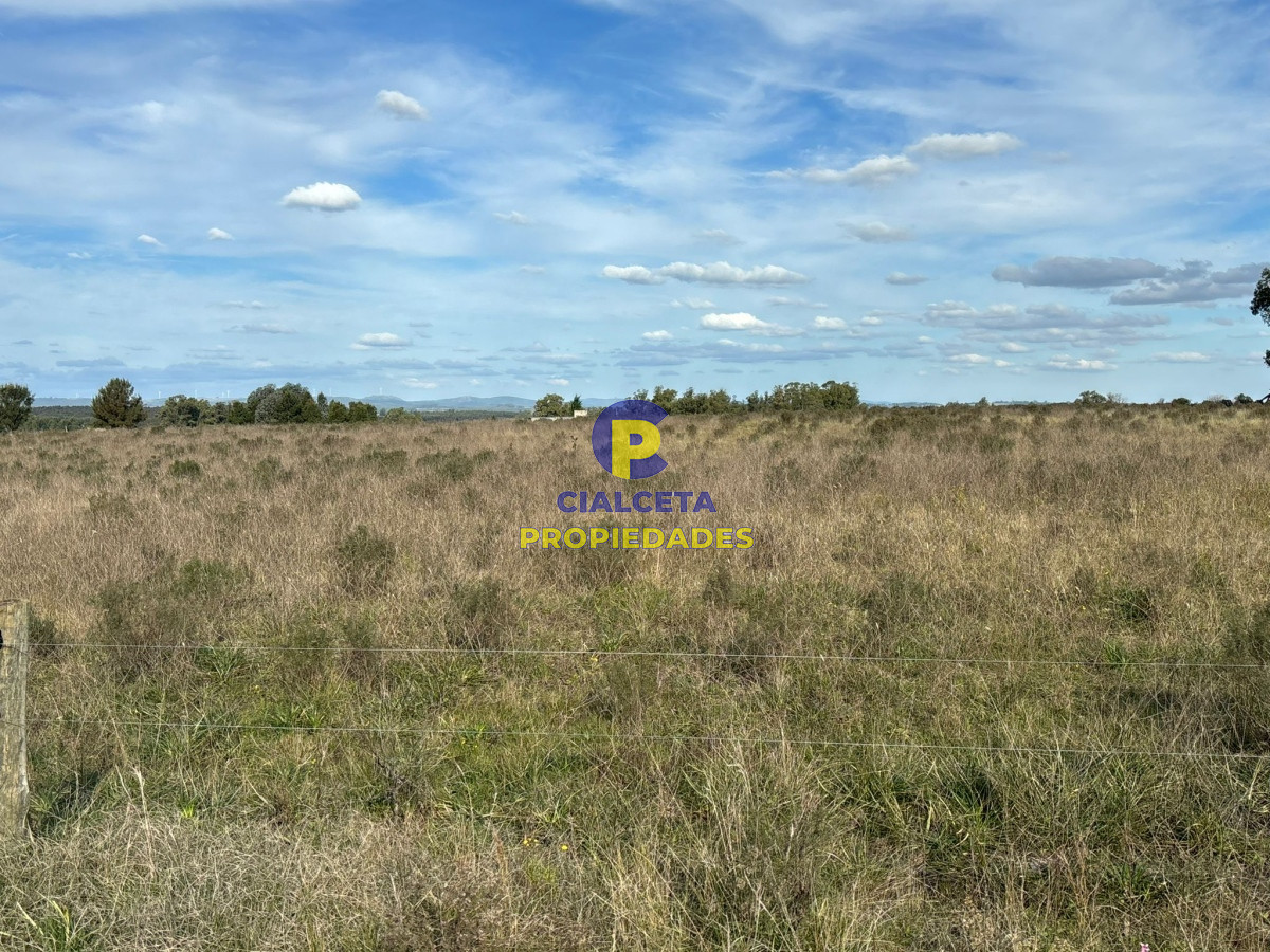 Campo Ref.437 - 15 hectáreas de buena tierra