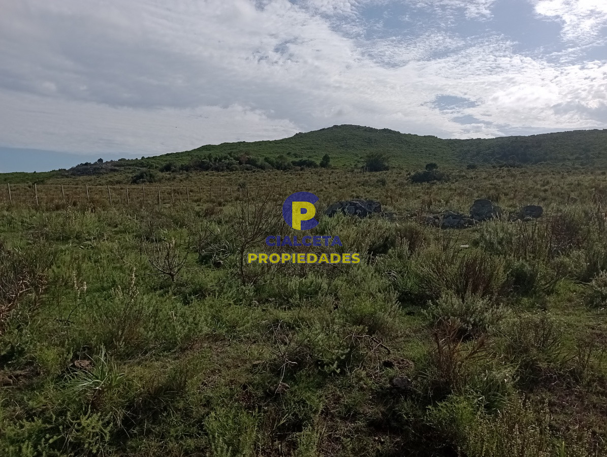 Campo Ref.141 - 490 hectáreas en Maldonado