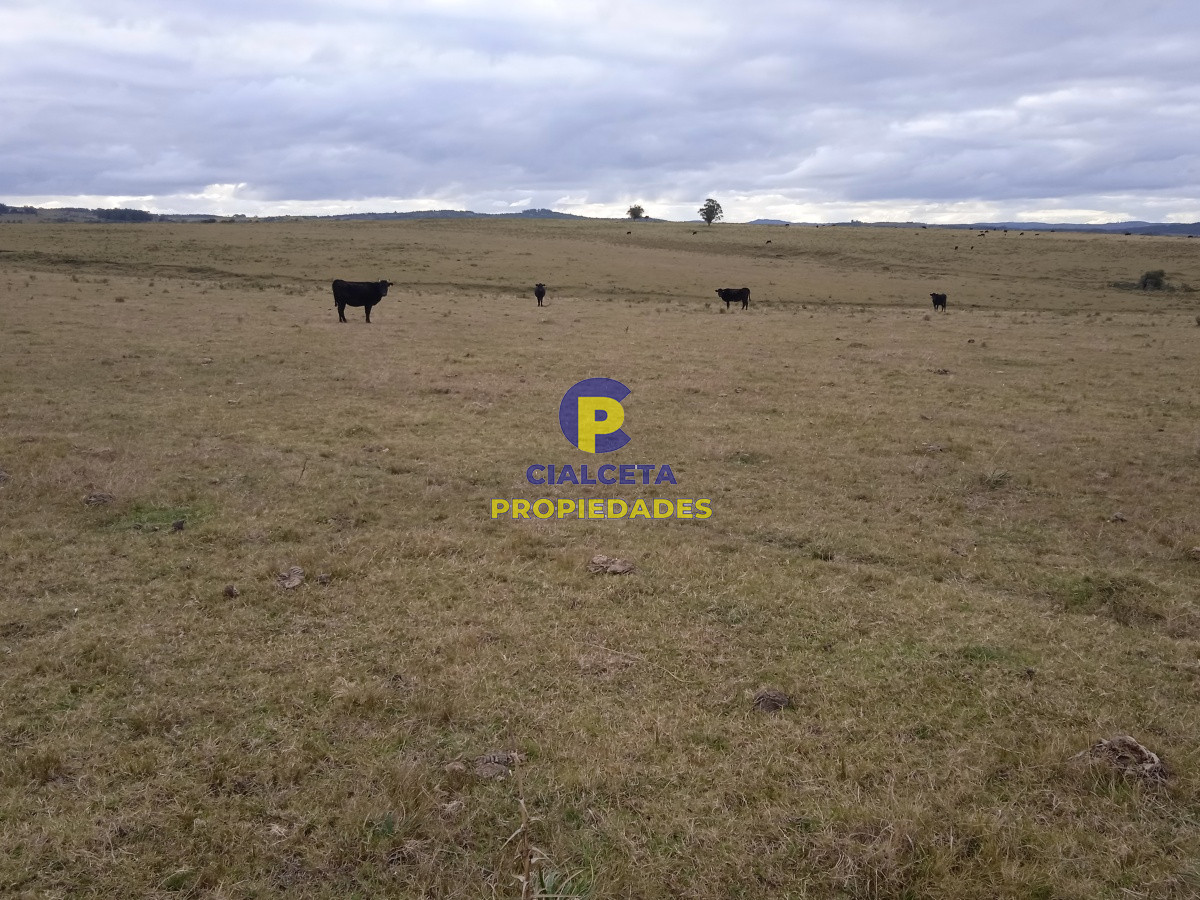 Campo Ref.122 - 60 hectáreas en Garzón