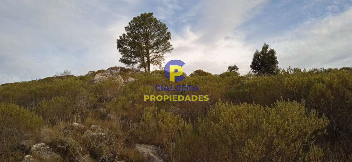 Campo Ref.50 - 5 hectáreas, entrega 8.000 U$S y cuotas de 593 U$S