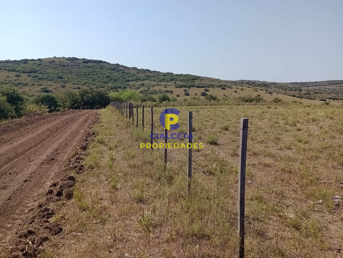 Campo Ref.421 - 86 hectáreas en Maldonado con linda vista