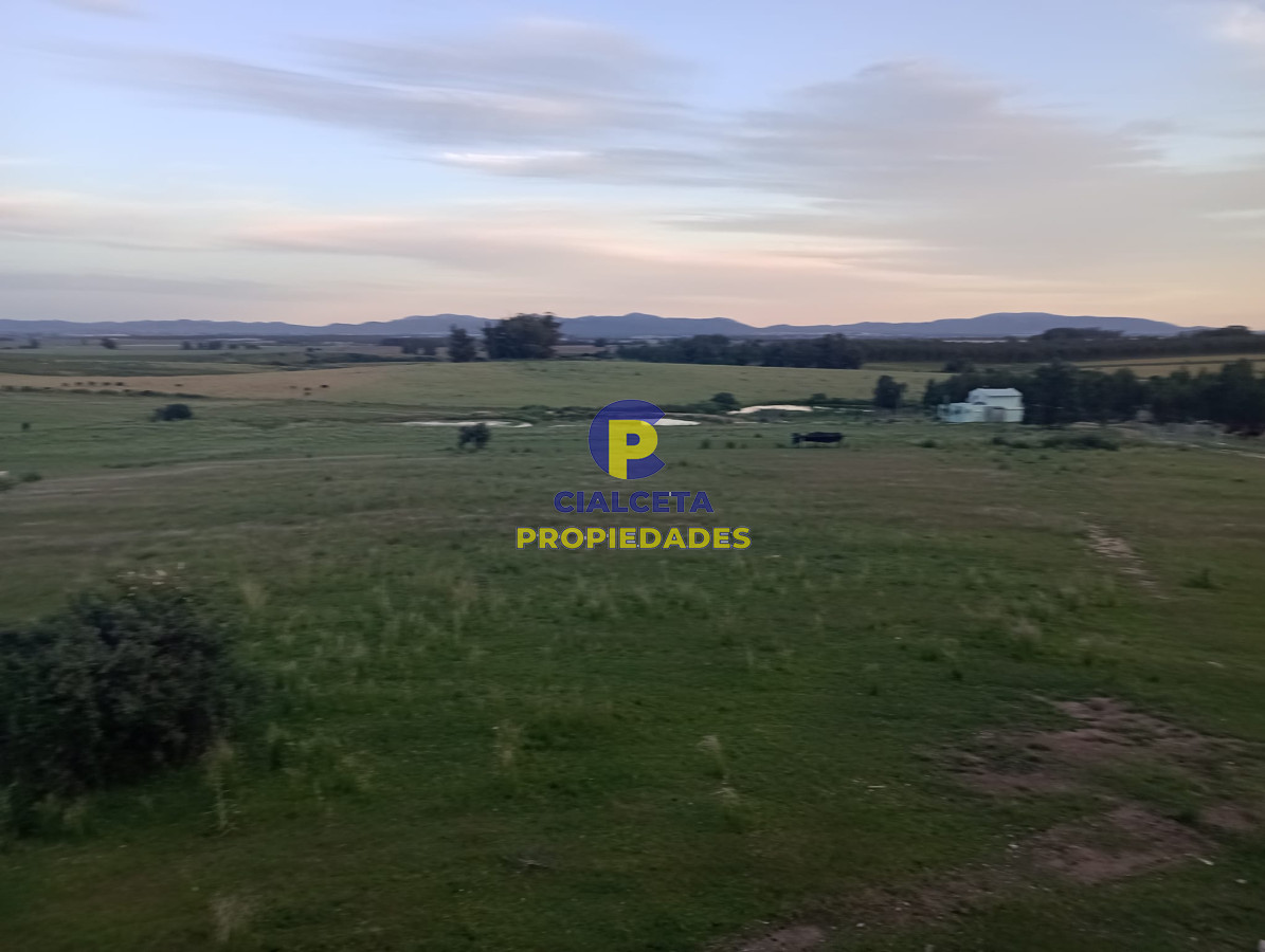 Campo Ref.342 - Campo con excelente casa