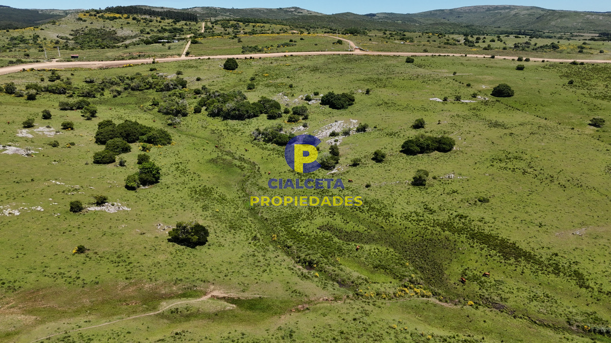 Campo Ref.554 - 109 hectáreas en Maldonado