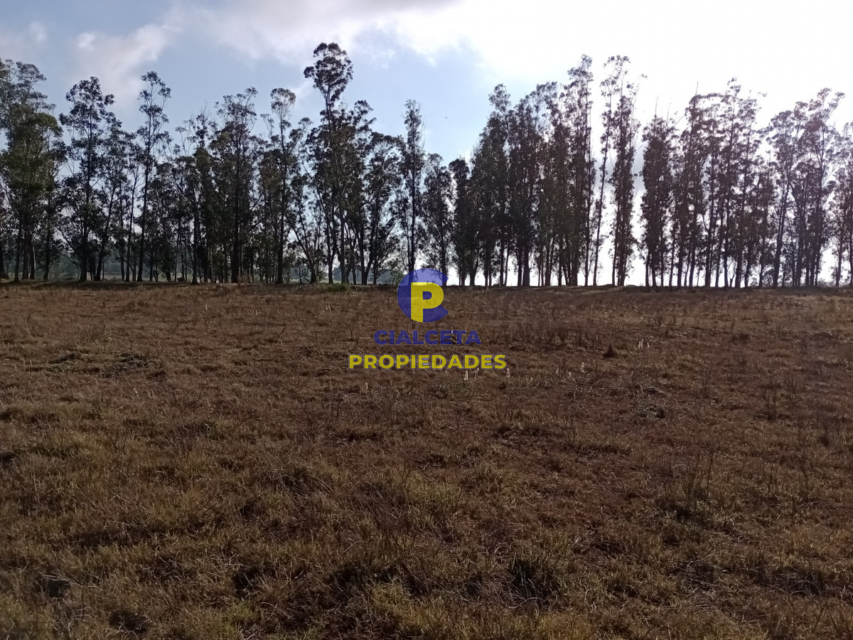 Campo Ref.103 - 94 hectáreas en Maldonado