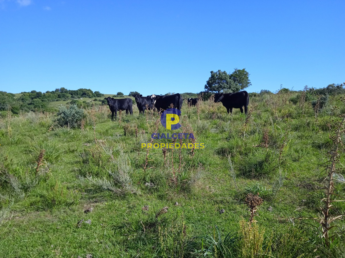 Campo Ref.127 - 35 hectáreas en Maldonado