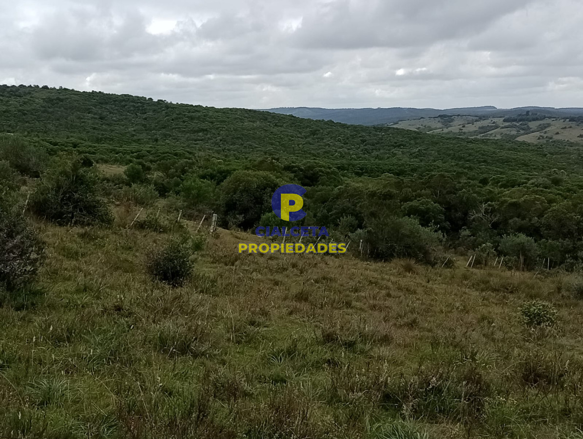 Campo Ref.195 - 48 hectáreas con 8 mil metros en Garzón