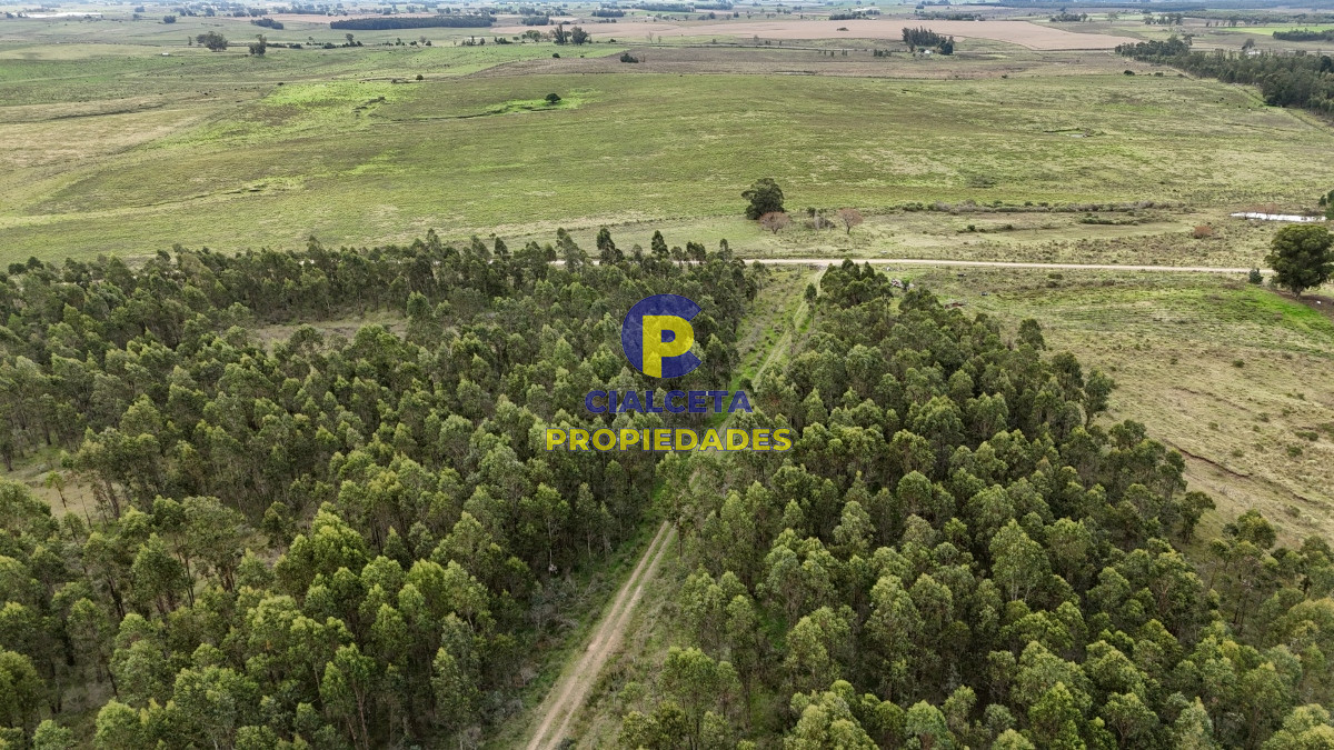Campo Ref.449 - 39 hectáreas y media en Canelones