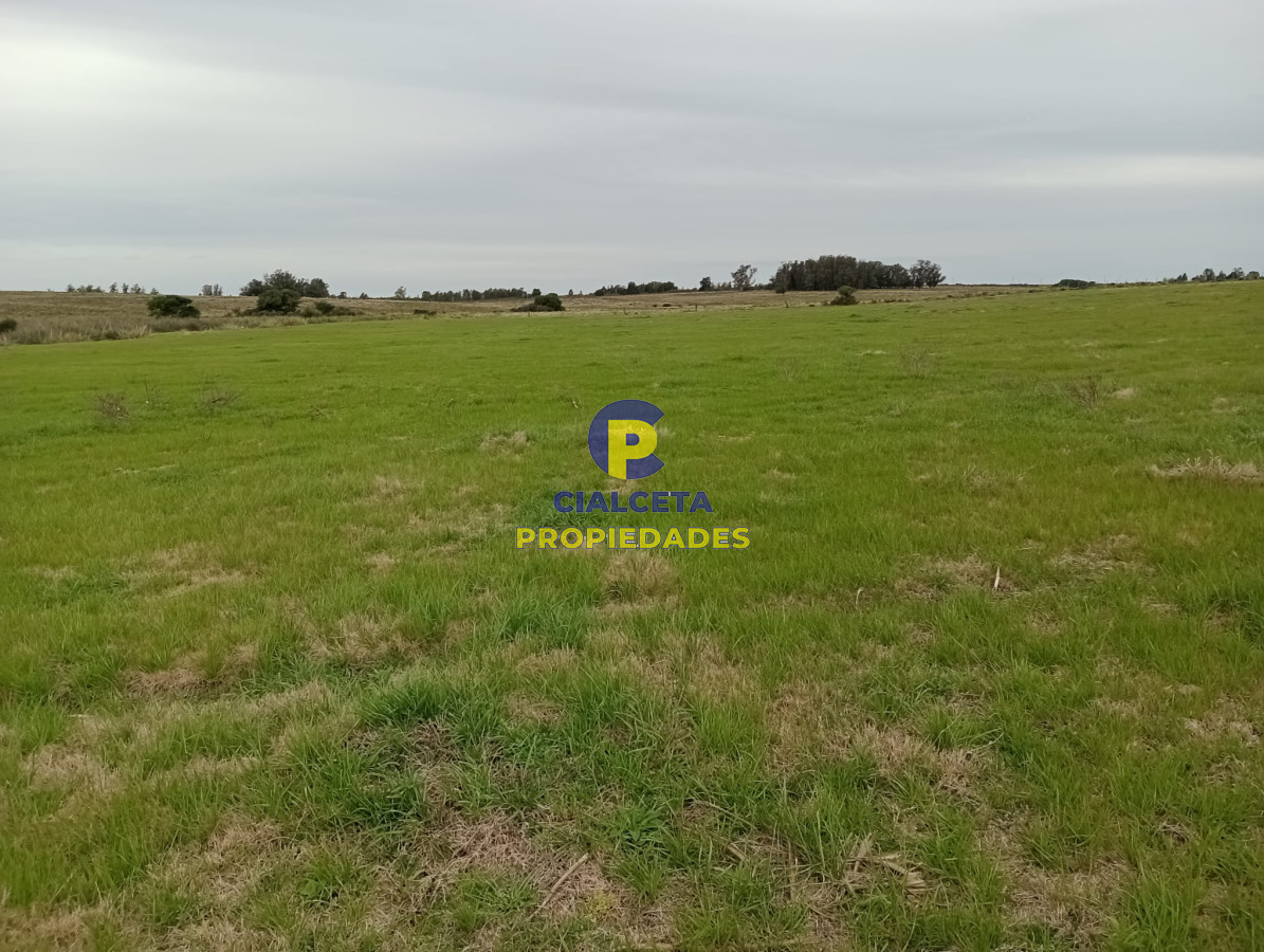 Campo Ref.293 - 15 hectáreas en Maldonado