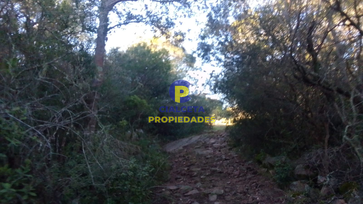 Campo Ref.398 - 41 hectáreas y media en Maldonado, Aigua