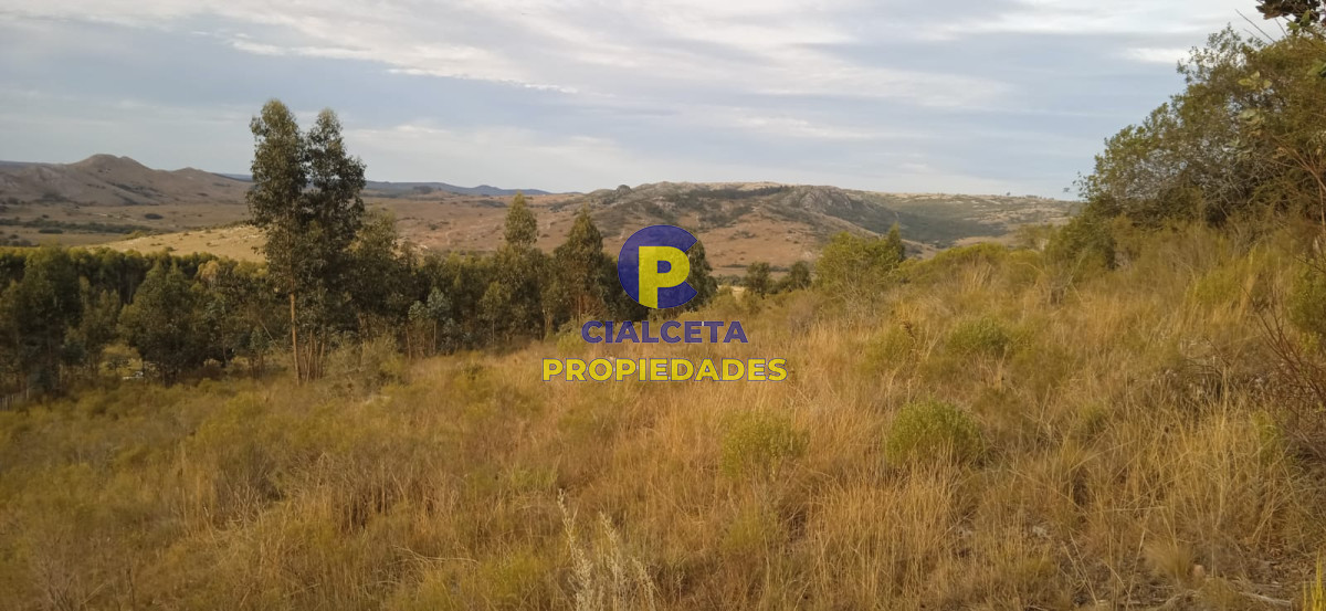 Campo Ref.50 - 5 hectáreas, entrega 8.000 U$S y cuotas de 593 U$S