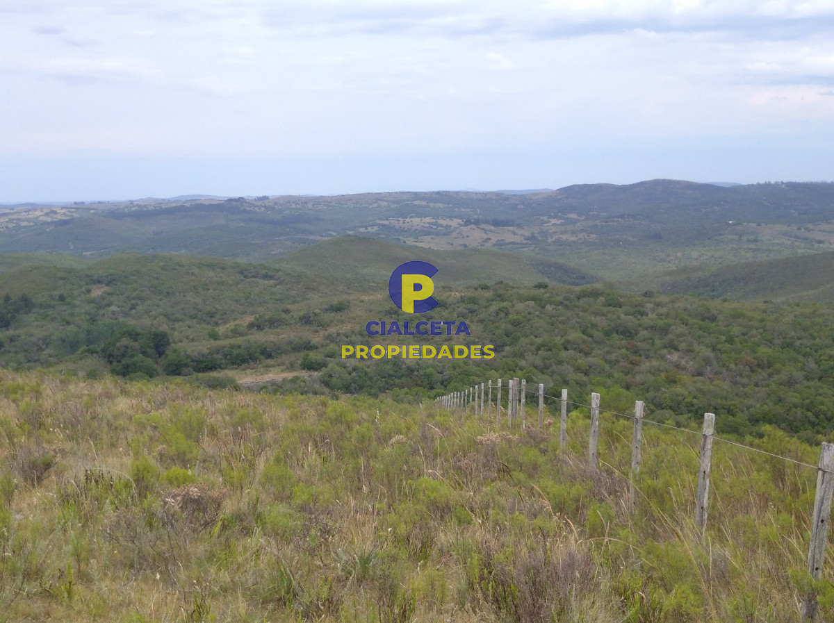 Campo Ref.91 - 267 hectáreas en Maldonado
