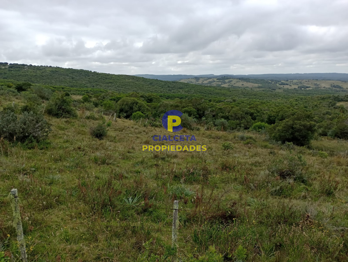 Campo Ref.195 - 48 hectáreas con 8 mil metros en Garzón