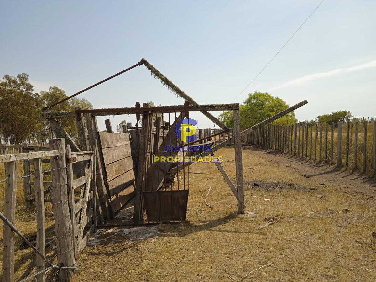 Campo Ref.69 - 180 hectáreas en Lavalleja