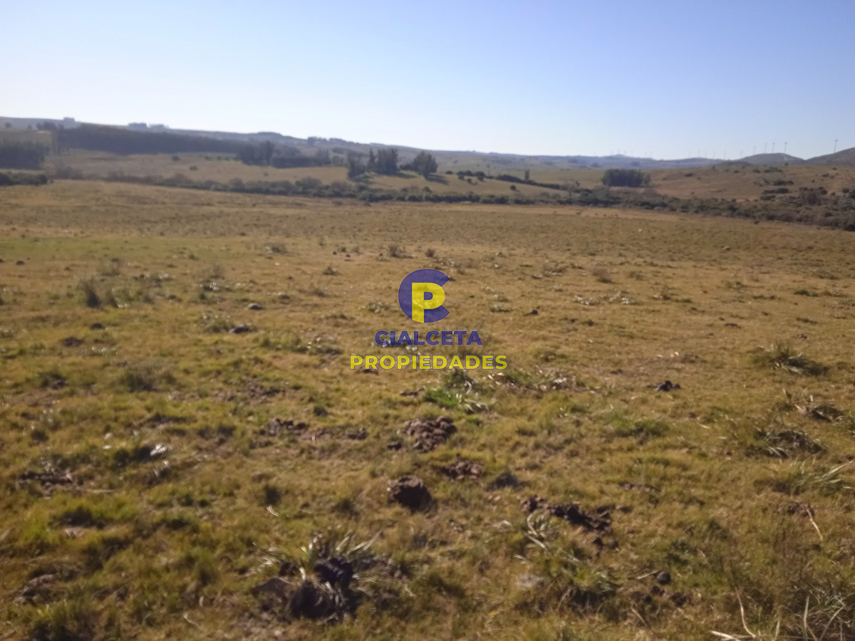Campo Ref.123 - 60 hectáreas en Carapé