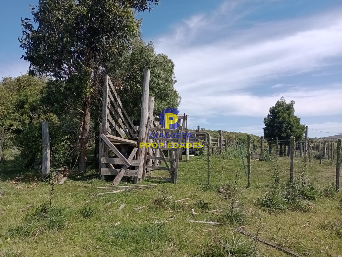 Campo Ref.344 - 54 hectáreas con 9.722 metros en Maldonado